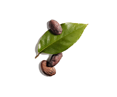 Jojoba oil Jojoba oil