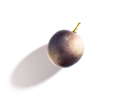 Vinergy® Vinergy®