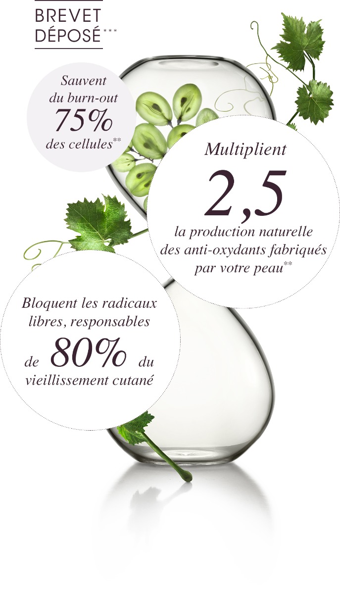 Polyphénols - Une efficacité prouvée