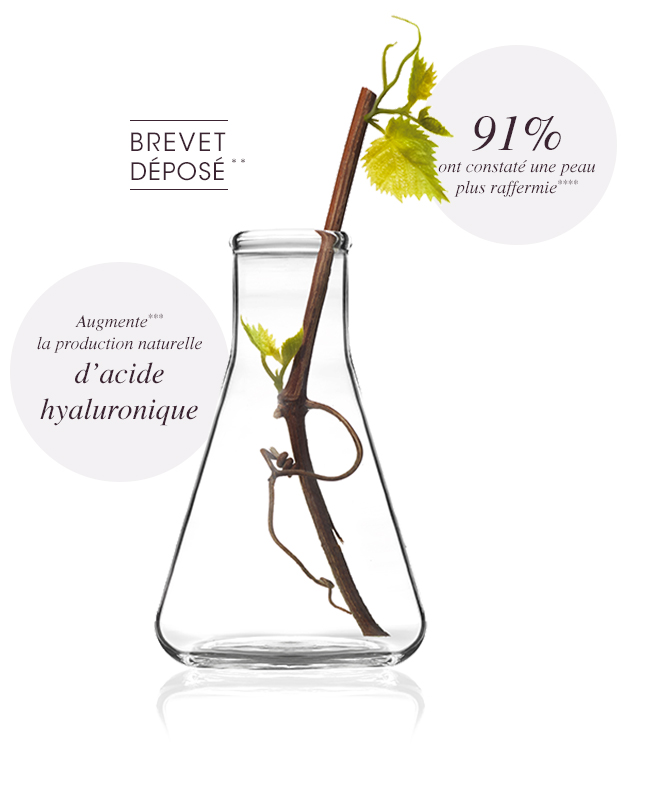 Resvératrol - Une efficacité prouvée