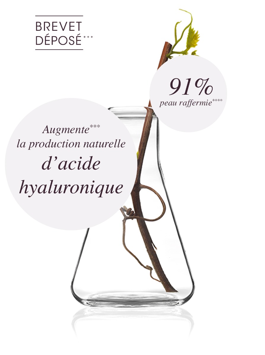 Resvératrol - Une efficacité prouvée